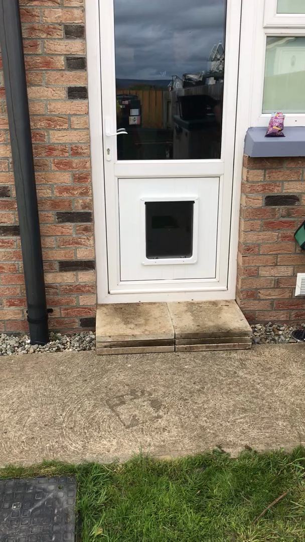 dog door flaps uk