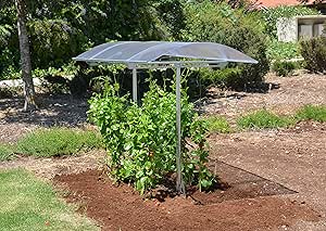 TomatenSchutzdach "TommyTunnel" 190 x 104 x (höhenverstellbar