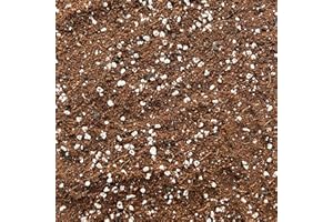 BHOMESCENT Premium Terrarium Potting Mix with Perlite & Activated Biochar – Nutrient-Rich Soil for Succulents, Moss, Air Plants & Tropicals – Superior Drainage, Root Health (1L)