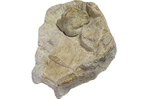 Wasserkaskaden Quellschale Fulda Quelle gross mit Spritzschutz, Beige/Braun, 60 x 41 x 8 cm