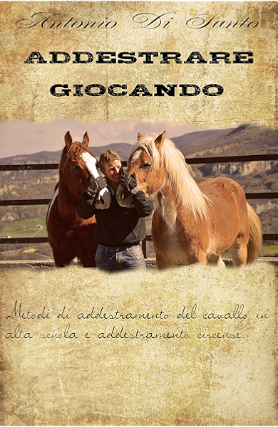 Addestrare Giocando Metodi Di Addestramento Del Cavallo In Alta Scuola E Addestramento Circense Ebook Di Santo Antonio Amazon It Kindle Store