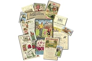 MEMORABILIA PACK CO. The Garden - Memorabilia Pack Company