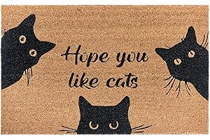 Hanse Home Kokos wycieraczka do wnętrz – mata zatrzymująca brud, naturalna, mata kokosowa do użytku na zewnątrz, mata dla kota, odporna na warunki atmosferyczne i antypoślizgowa, do korytarza, na