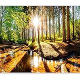 Murando Premium Photo Wallpaper Nature 400x280 Cm / 158"x111" Non-Woven