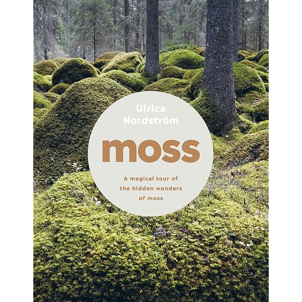 The Magical World of Moss Gardening : Martin, Annie: Amazon.nl: Books
