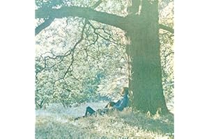 Plastic ONO Band