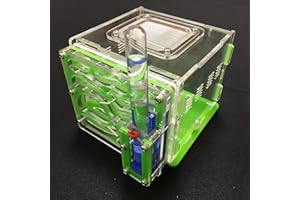 Vivarium/ferme à fourmis avec zone d’alimentation et nid - Acrylique