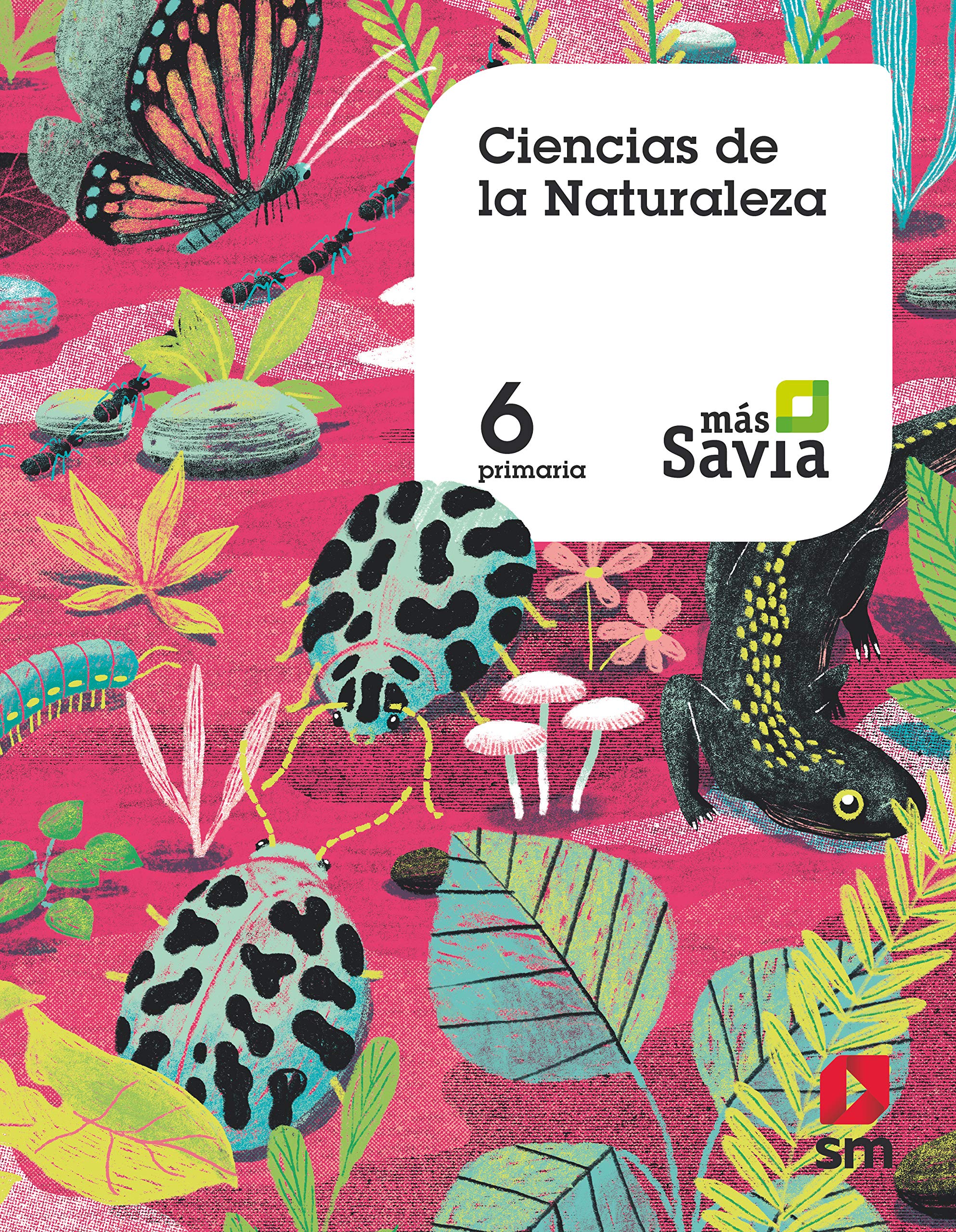 Ciencias de la naturaleza. 6 Primaria. Más Savia. MEC