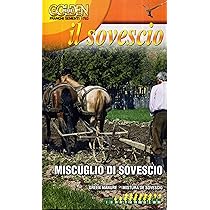 Miscuglio Sovescio 1kg - Per Terreno, Contro Nematodi, Con Trifoglio, Veccia E Favino - Foto 3