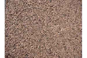 IBERIA KORK-ZOOBEDARF Korkrückwand Natur 50x50x2cm, Terrarium, Kork Rückwand 92054