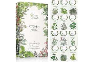 Herb Seeds Set: Herbs Seeds for Planting – 12 Varieties of Herb Plants – Seed Gifts Box with Herb Garden Seeds – Heirloom Seeds Herb Kit by OwnGrown