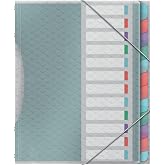 Esselte Divider Folder with 12 Tabs, A4, Acid Free Document Organizer, Clear Plastic Sleeves, Home/Office, Embossed Pattern,