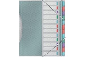 ‎ESSELTE Esselte A4-Projektordner mit 12 Taben, Ordnungsmappe mit Register zur Schreibtischorganisation und Aufbewahrung von Projektunterlagen, Mit Klappen und Gummizug, Colour'Breeze Serie, Mehrfarbig, 626256
