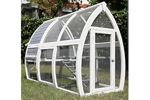 Pets Imperial® Grey Dorchester Chicken Coop - Ark Poultry Nest Box - Chicken House with Sliding Tray & Opening Roof - Integrated Chicken Run