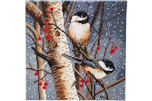 CRYSTAL ART- Waldgeister, 30x30cm Kristallkunst-Kit Tableau à diamanter, CAKA76, Multicolore