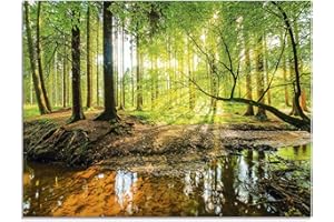 ARTLAND Küchenrückwand Glas mit Motiv Spritzschutz 80x60 cm Wald Natur Bäume Landschaft Sonne Sonnenuntergang Bach Grün T9IO