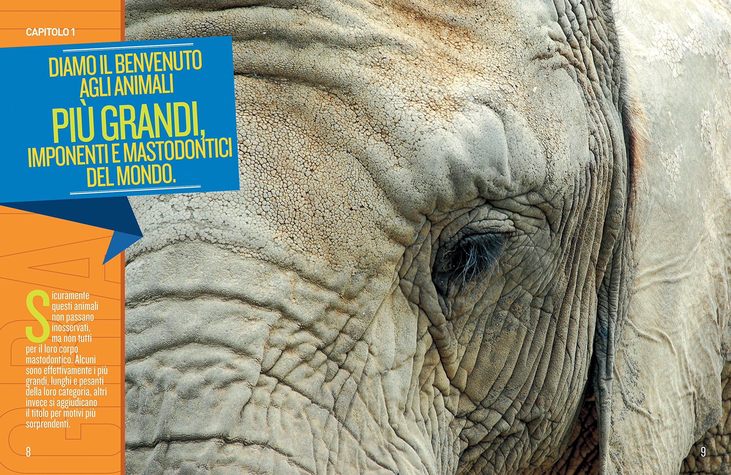 Animali da record. Le specie più grandi, più disgustose, più veloci, più pericolose, più puzzolenti e più piccole del…