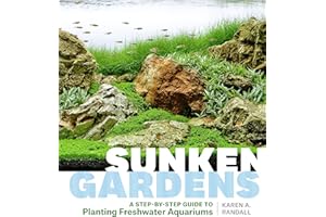 Sunken Gardens: A Step-by-Step Guide to Planting Freshwater Aquariums
