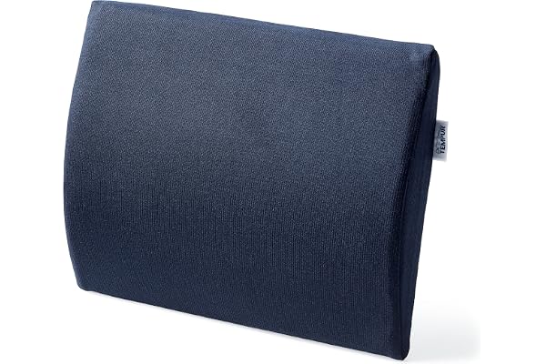 TEMPUR Transit svankstödskudde, memoryskum, ergonomisk, (30 x 25 cm)