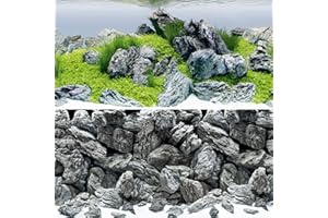 Juwel Aquarium 2 different designs on the front and back.