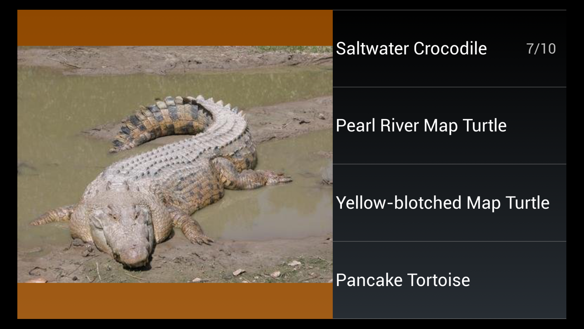 Reptile Species Trivia Quiz Amazon.co.uk Appstore for Android