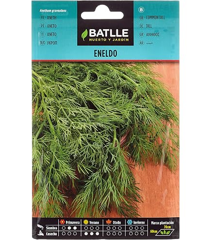Batlle Knollenfenchel Florenz Gemüsesamen – 2000 Samen, Für Garten & Hochbeet, Aussaat Sommer/Herbst
