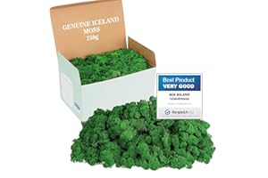 Mia Milano Mousse Naturelle décorative, pour Les crèche et Le Bricolage, en Plaque, réutilisable (Vert Naturel, 250g)