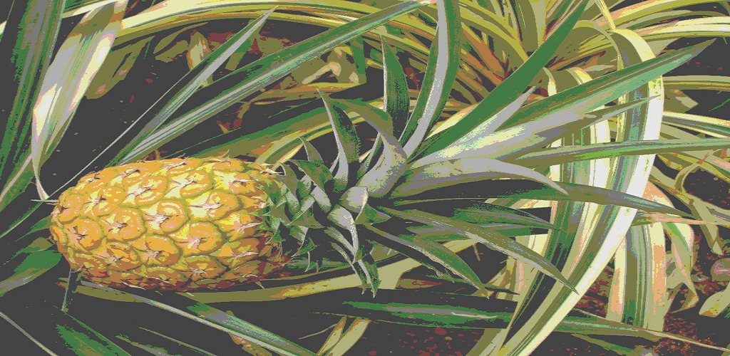 Comment On Dit Ananas En Anglais Fonds d'écran d'ananas: Amazon.fr: Appstore pour Android