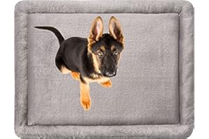 MyBestBuddy Hundekissen Komfort grau 120x80 cm XXL, allergikerfreundlich (100% Polyester), rutschfest - 40°C waschbar mit flauschigem Stoffbezug - Hundematte BZW. Hundebett für sehr große Hunde