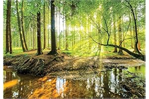 WALLARENA Papel Pintado Bosque Árboles Verde 3D Naturaleza Salón Dormitorio 254x184 cm - Incluye Pegamento - Fotomurales Pared Tejido No Tejido Decorativos Murales Fotográfico XXL Moderno Decoración de Paredes