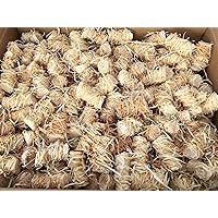 Zündwolli 10 Kg Anzünder aus Holzwolle und Wachs Ofenanzünder Kaminanzünder Grillanzünder Brennholzanzünder…