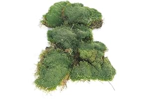 POWERS TO FLOWERS - MUSCHIO A PALLA, MUSCHIO NATURALE, muschio vero