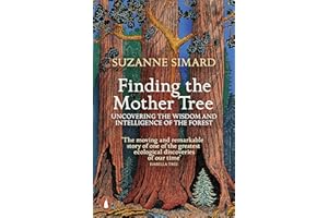 Finding the Mother Tree: Uncovering the Wisdom and Intelligence of the Forest