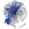 Fascinators Hat for Women Tea Party Headband Kentucky Derby Wedding Cocktail Flower Mesh Feathers Hair Clip