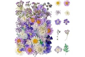 Getrocknete Blüten,Kaluofan Natürliche Getrocknete Blumen,Dried Flowers, Getrocknete Blumen für DIY-Schmuck, Gemischte Getrocknet Trockenblumen Deko für Kunst Basteln DIY Harz Scrapbooking Lesezeichen