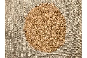 EBANEY LanDixx Gelbsenf 5kg Gelber Senf Weißer Senf Weißsenf Senfsaat