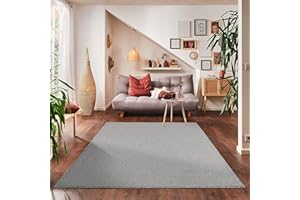 ‎CARPETTEX TEPPICH Carpettex Teppich Wohnzimmer Kurzflor Teppich Modern Einfarbig Design 240 x 340 cm Teppich Hellgrau - Küchenteppich Waschbar Extra Weich Flauschig - Teppich Schlafzimmer Kinderzimmer Esszimmer Flur