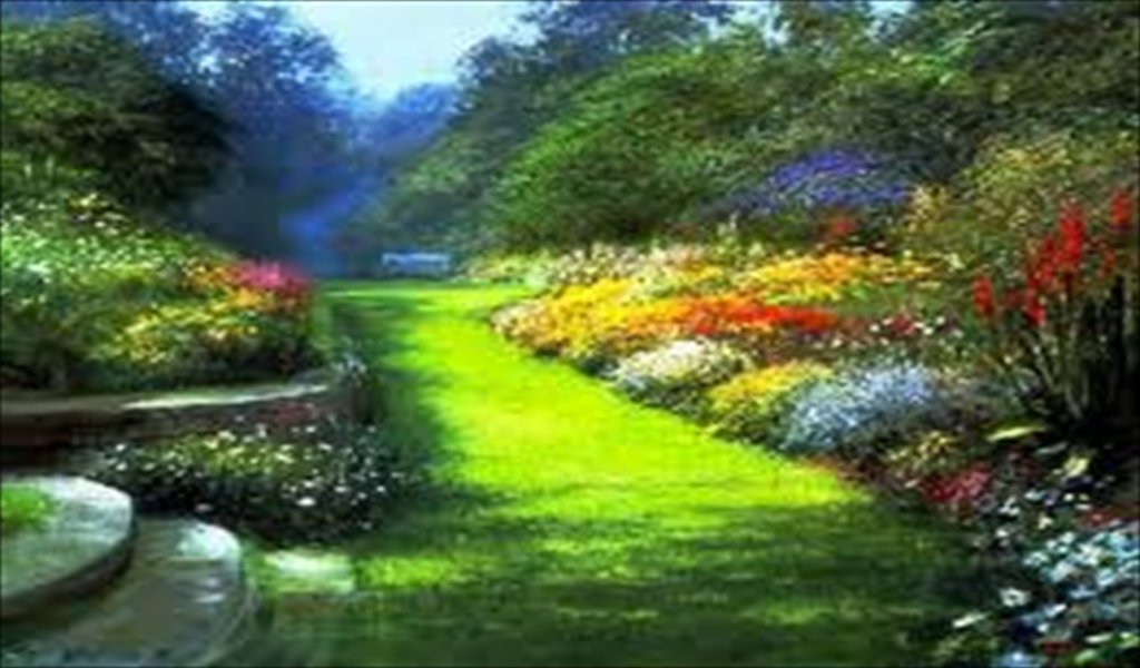 Amazon Landscape