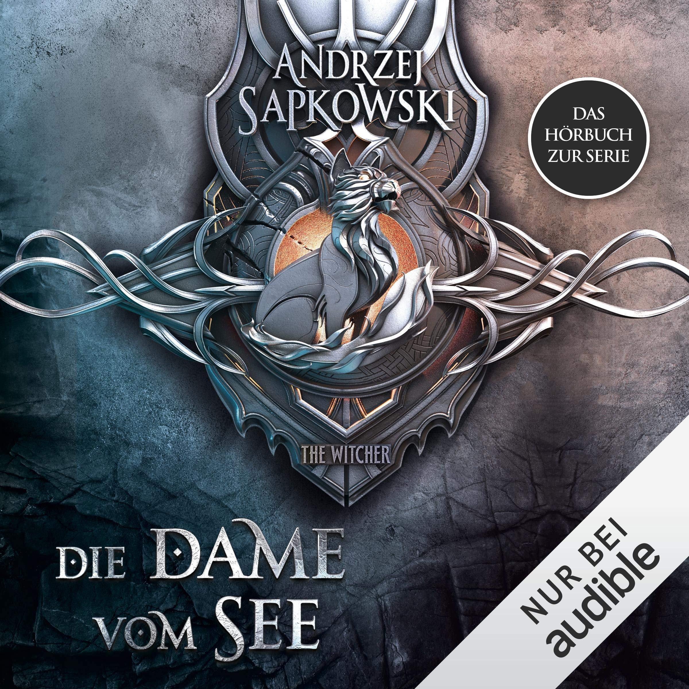 The Witcher Bucher Kritik The Witcher Bücher The Witcher Bucher Kritik The Witcher Bücher