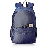 American Tourister Copa 23 Ltrs Blue Casual Backpack (FU9 (0) 01 001)