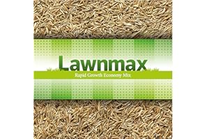 EFA INTERNATIONAL Lawnmax – Grass Seeds Fast Growing, Rapid Growth Economy Mix for Hard Wearing, Shady Grass, New Lawns and Patch Repair (1KG)