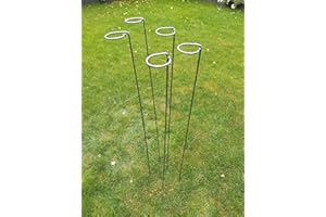 BESPOKE PLANT SUPPORTS LIMITED Metal Plant Supports Loop Stakes 5 pack 80cm, 100cm or 130cm tall (130cm)