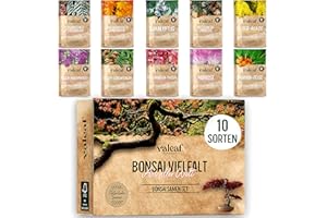 VALEAF 10 Bonsai Samen aus 5 Kontinenten I Exotische Baum Samen für deinen einzigartigen Bonsai-Baum I Starter Kit für Anfänger und Pflanzen Verrückte I Unser Bonsai Set als besondere Geschenkidee