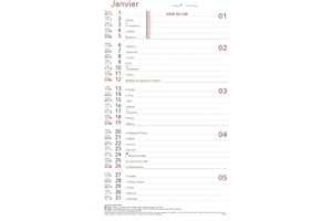 LIBELLUS OBERTHUR - 1 Bloc ou Recharge pour Calendrier Mensuel à Feuillet - Janvier 2026 à Décembre 2026 - Format 27.8 x 16 cm