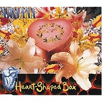NIRVANA Heart Shaped Box ボックスセット Heart Shaped Box: Nirvana (US): Amazon.es: CD y vinilos}