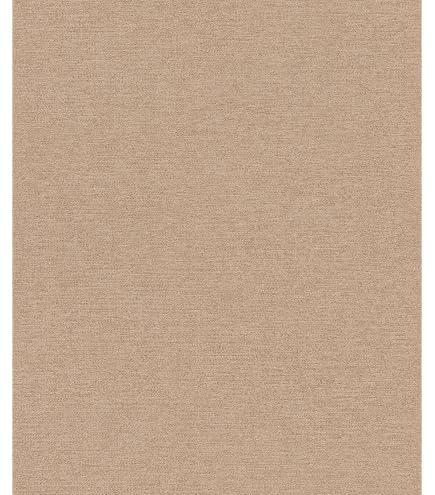 Papier Peint Intissé Rasch Concrete 520873 - Brun Uni 0.53x10.05m, Effet Béton