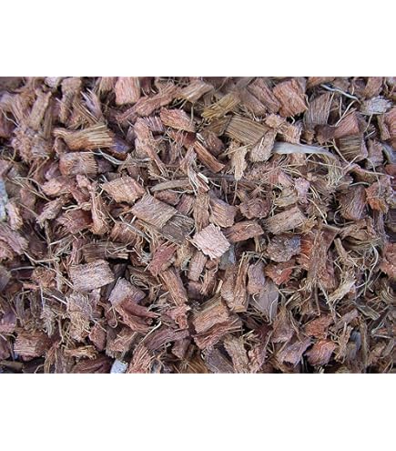 Etisso® LacBalsam® Wondsluiting voor bomen (385 g) · wondbalsem boom · boompleister bij schors en sneden · boomwas voor wondbehandeling · speciaal voor sierbomen en fruitbomen