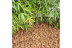 STRATA STONES Strata Lava Rocks for Aquarium Decorative Pebbles Stones Gravel for Garden Mix Size Between 25-75MM - 5Kg / 11Lb