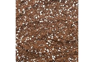 BHOMESCENT Coco Perlite Mix 70/30 with activated biochar - Enhanced Potting Soil Mix for Optimal Plant Growth and Health (2L)