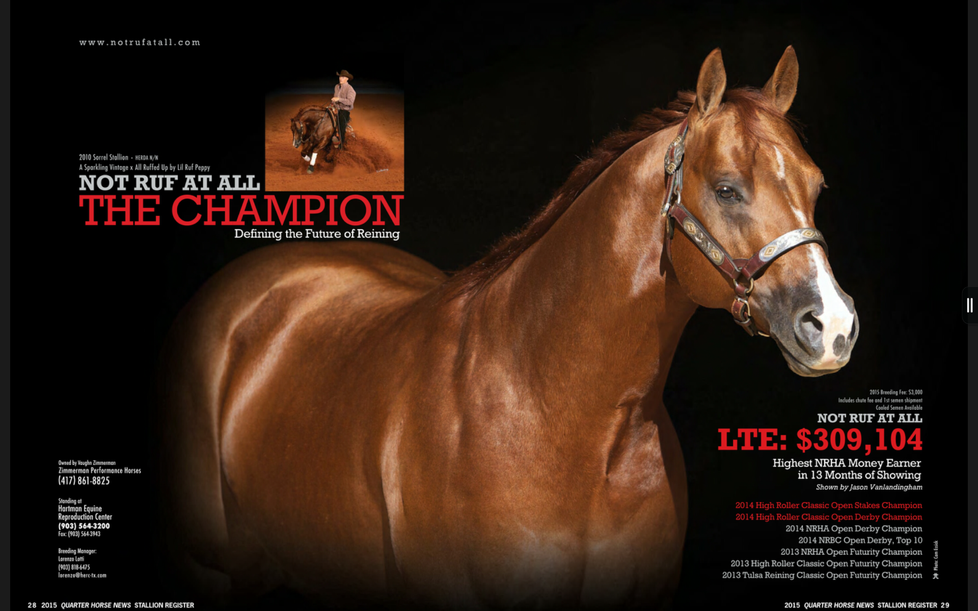 Quarter Horse Stallion Register Amazon.co.uk Apps & Games